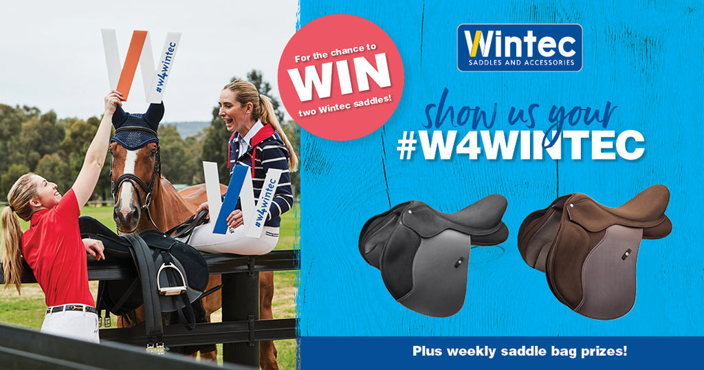 W4Wintec image